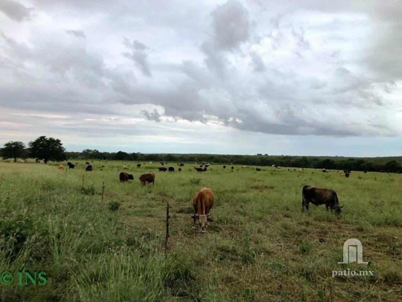 Rancho en venta en Ejido Villa De Casas