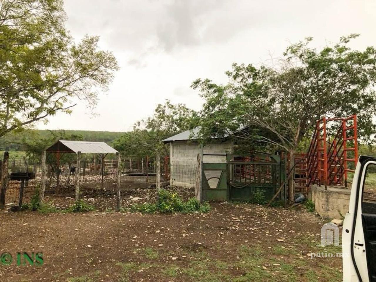 Rancho en venta en Ejido Villa De Casas — foto 6
