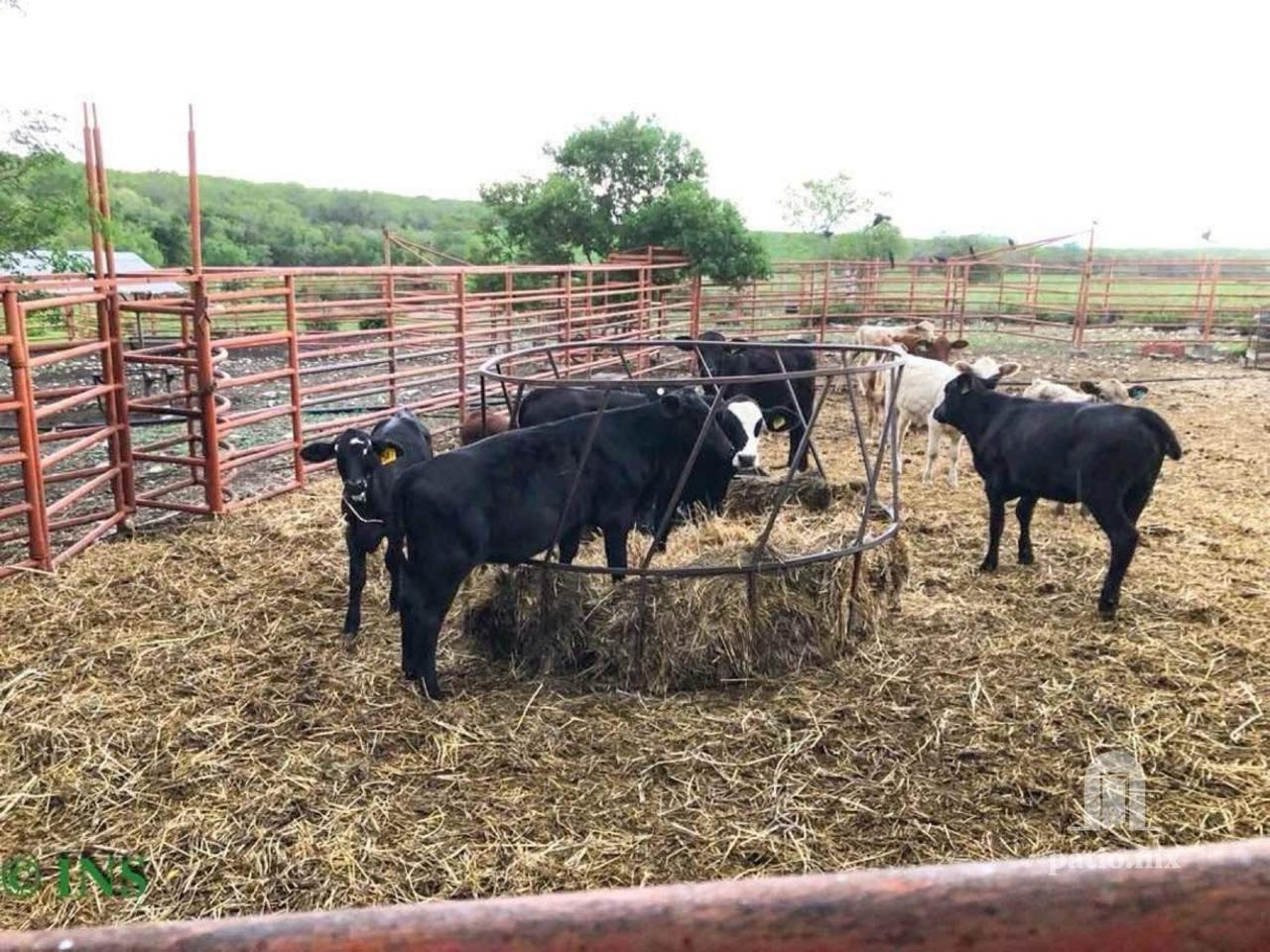 Rancho en venta en Ejido Villa De Casas — foto 7