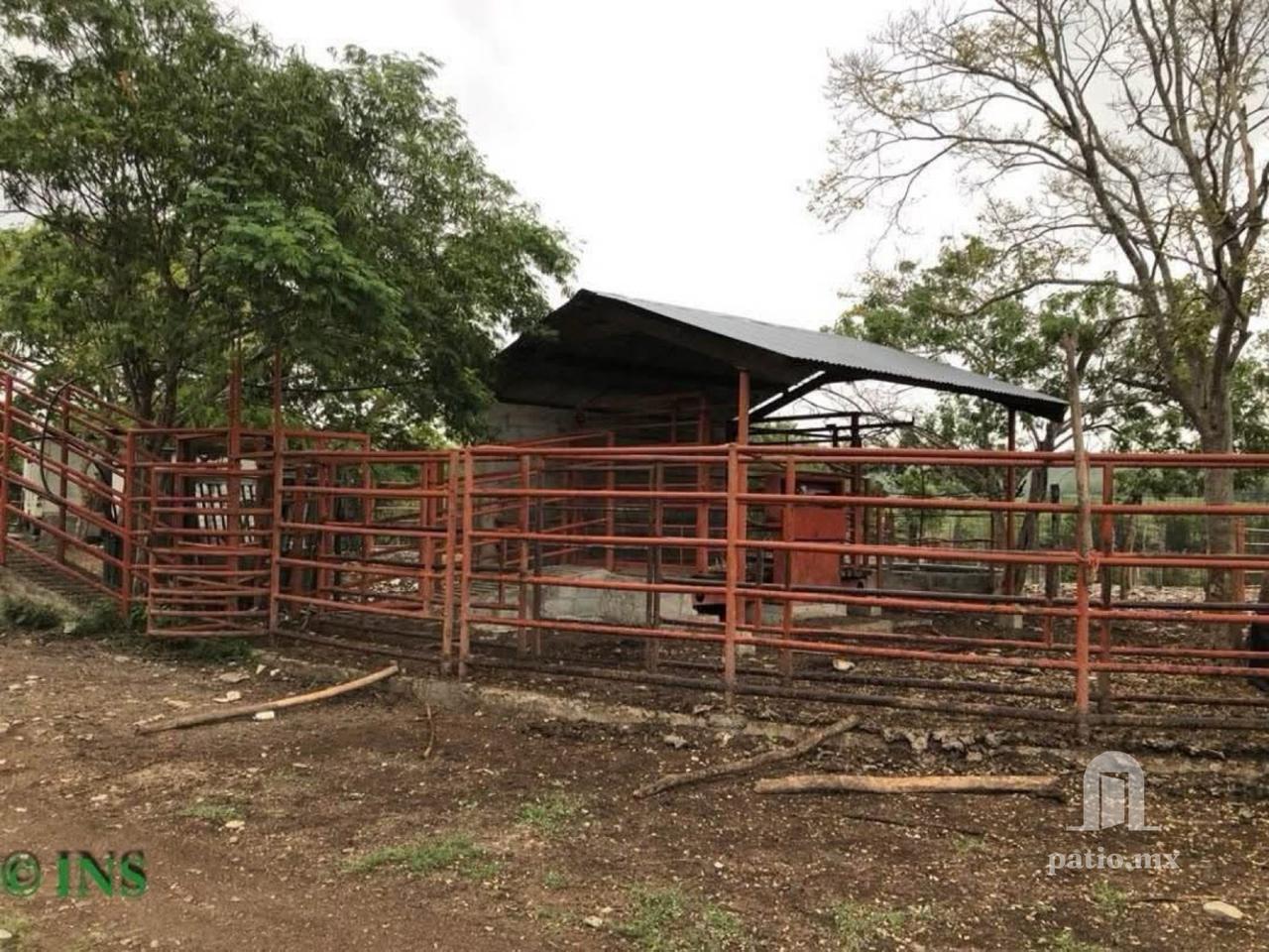 Rancho en venta en Ejido Villa De Casas — foto 8