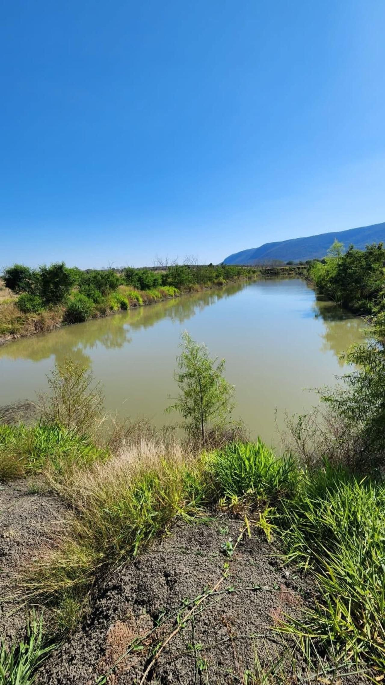 Rancho Ganadero en venta en El Mante — foto 6