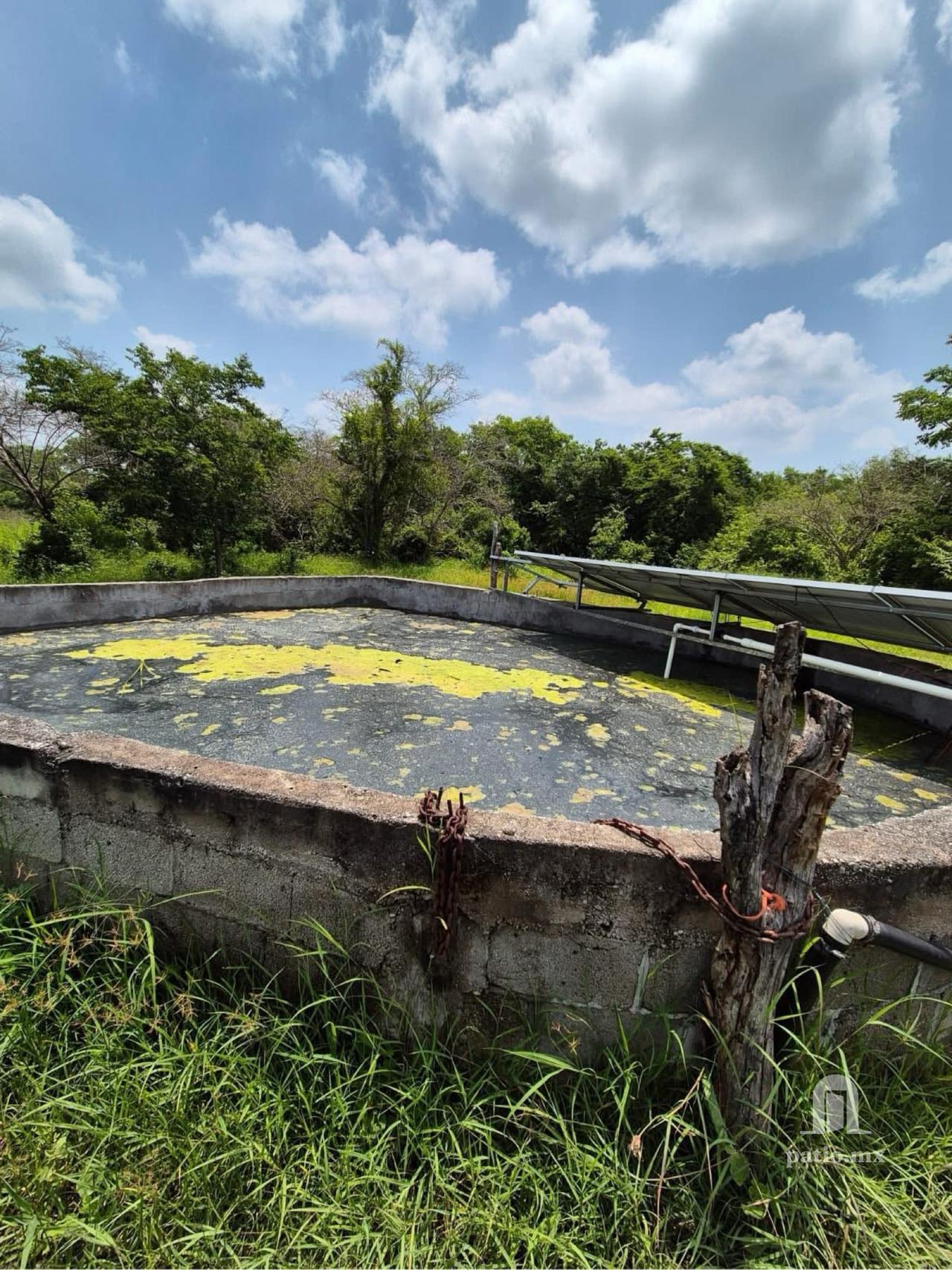 Rancho Ganadero en venta en El Mante — foto 7