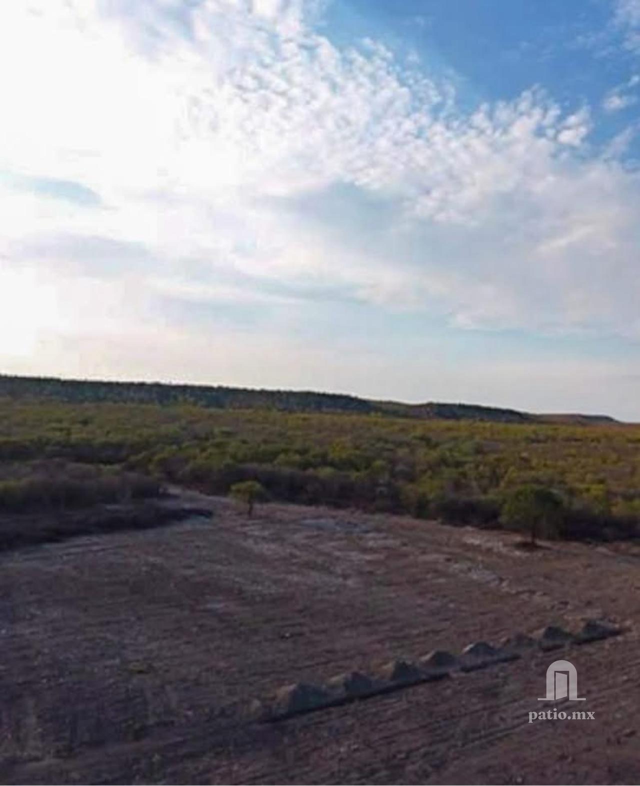 Rancho agricola de 60has en Villa de Casas — foto 2