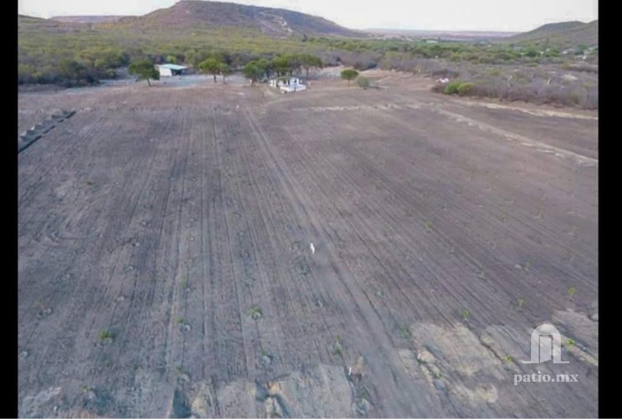 Rancho agricola de 60has en Villa de Casas — foto 3