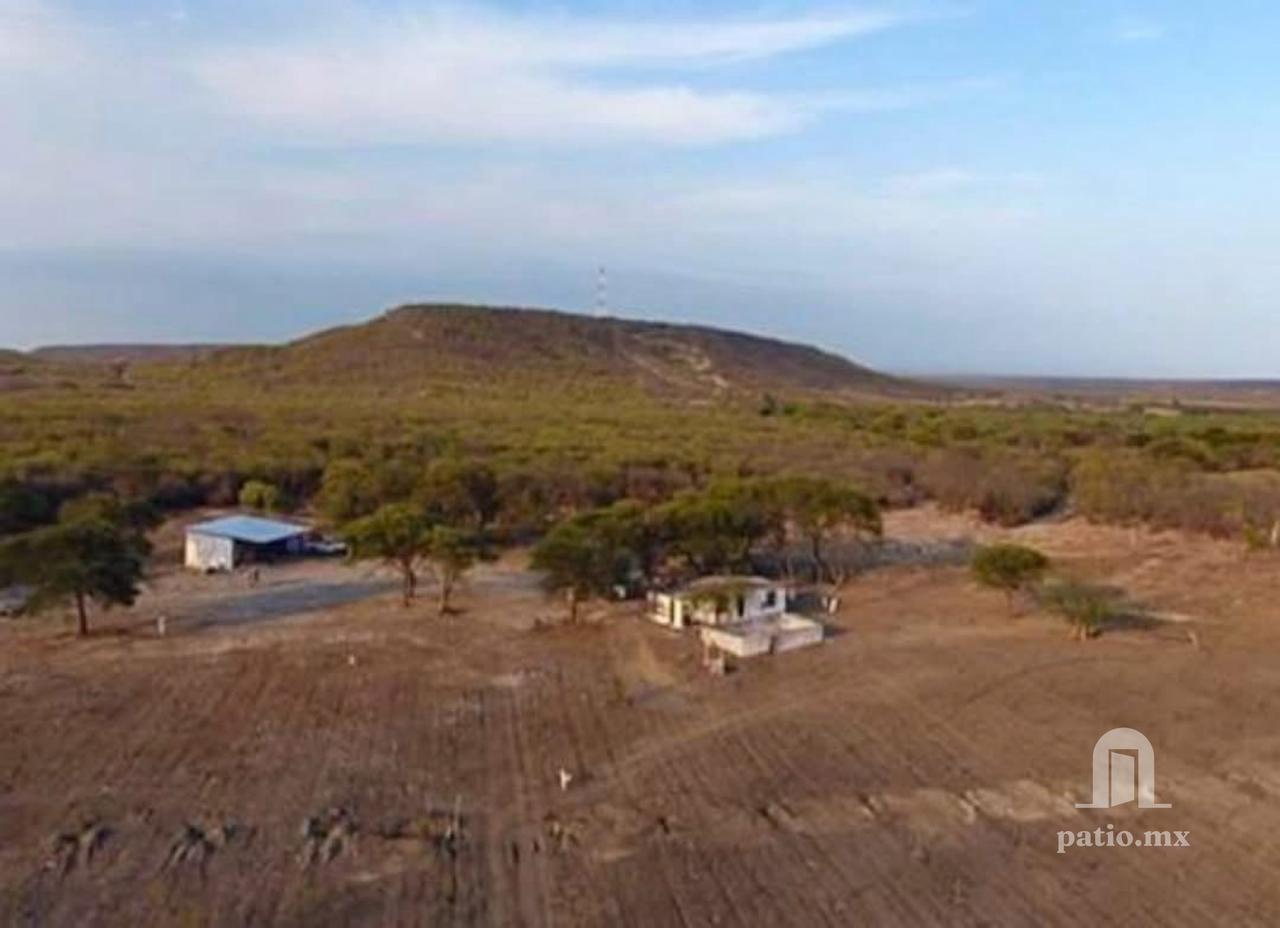 Rancho agricola de 60has en Villa de Casas — foto 4