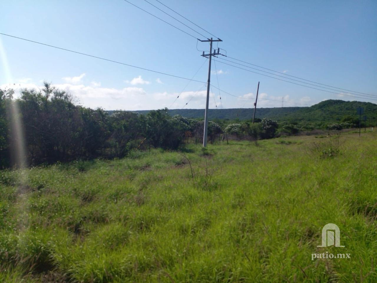 Hectareas en venta en Llera frente a Carretera!