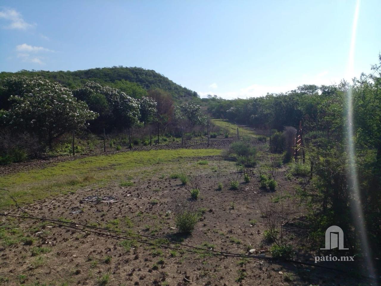 Hectareas en venta en Llera frente a Carretera! — foto 3