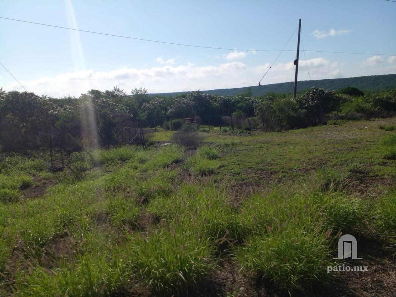 Hectareas en venta en Llera frente a Carretera! — foto 4