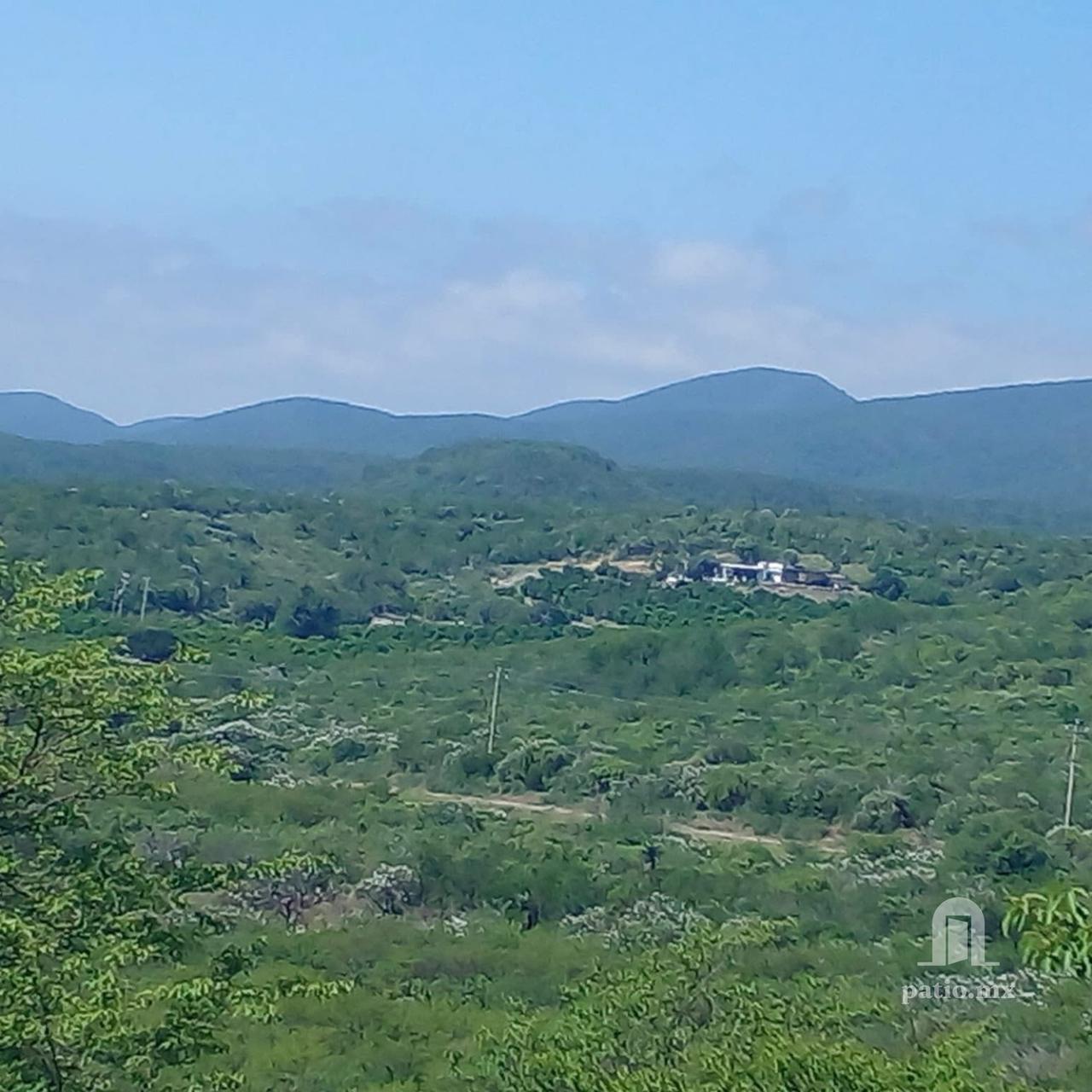 Hectareas en venta en Llera frente a Carretera! — foto 2