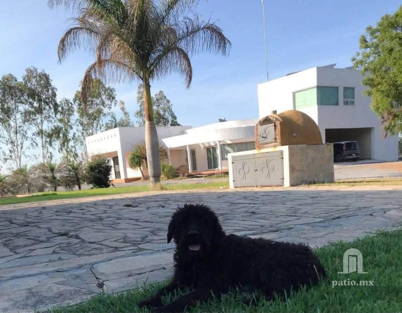 Quinta en venta En el Olivo