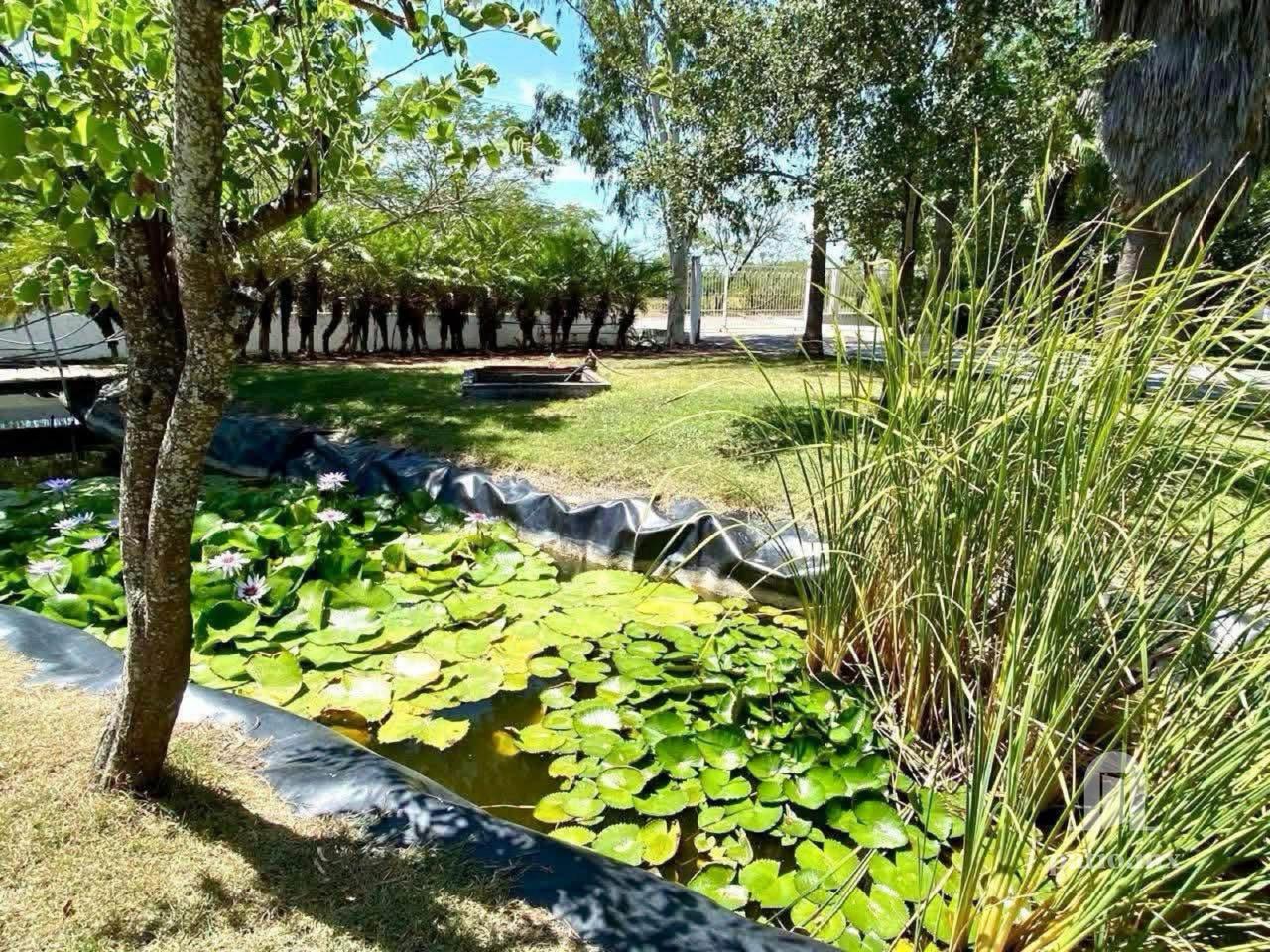 Quinta en venta En el Olivo — foto 3